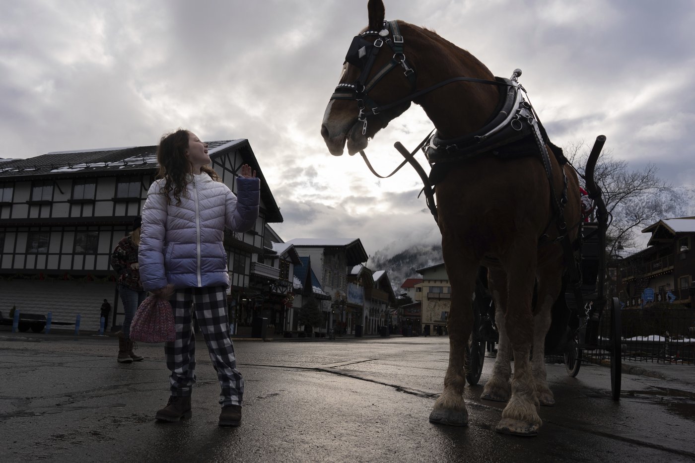 Magic and lights draw crowds to an alpine village in Washington state for Christmas | iNFOnews.ca