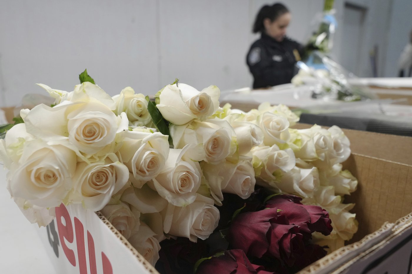 Roses are red, violets are blue, 940 million flowers are traveling (through Miami) to you | iNFOnews.ca