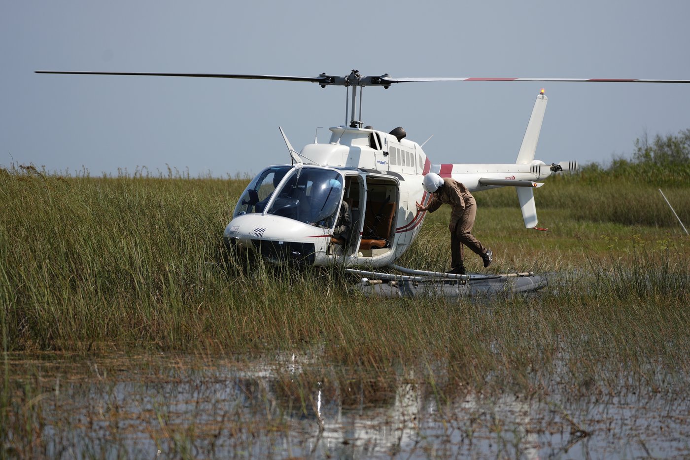 In Florida, a race is on to save the Everglades and protect a key source of drinking water | iNFOnews.ca In Florida, a race is on to save the Everglades and protect a key source of drinking water | iNFOnews.ca
