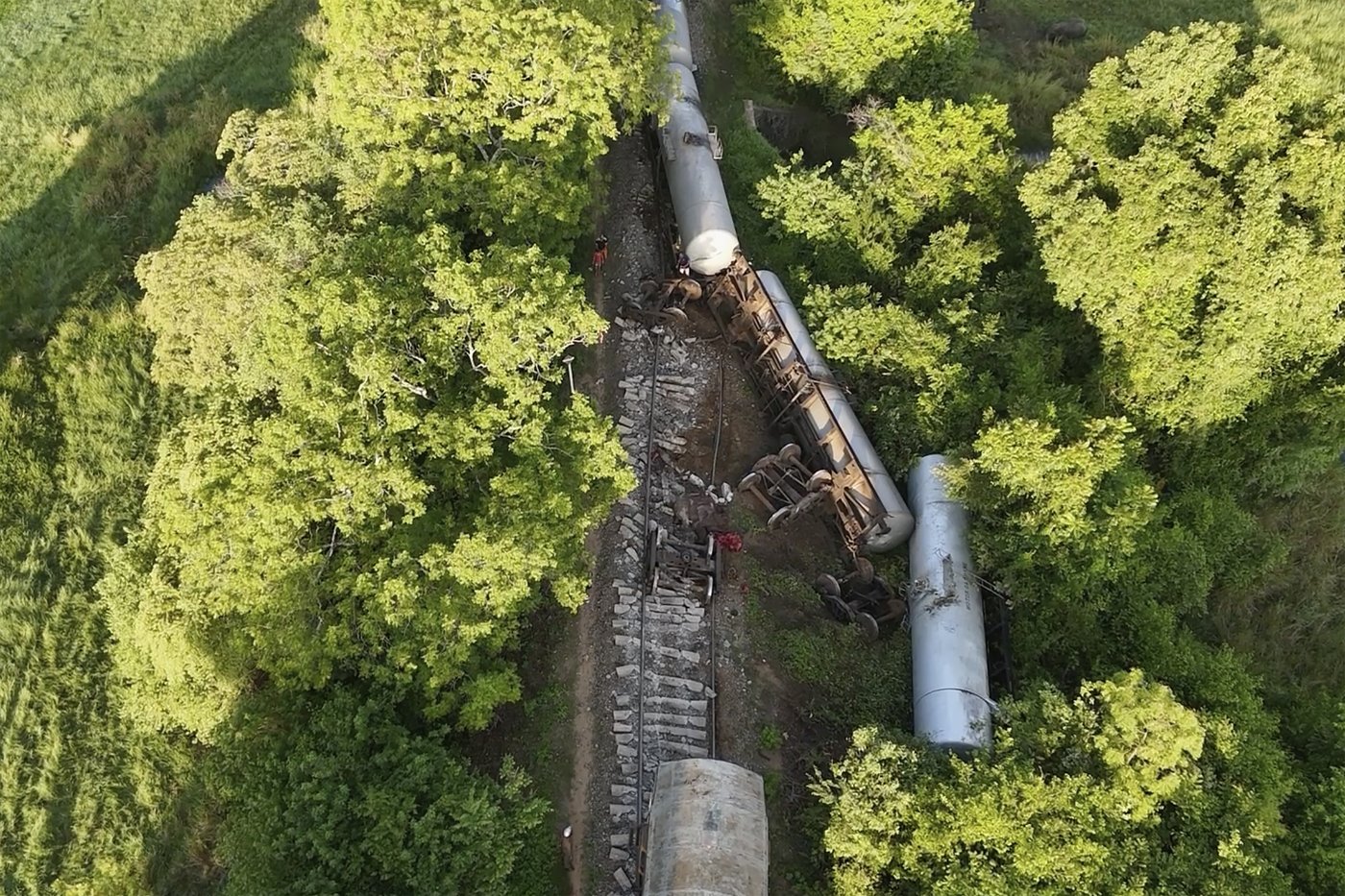 Train hits and kills 2 wild elephants in Sri Lanka as 2 of its fuel-carrying tankers derail | iNFOnews.ca
