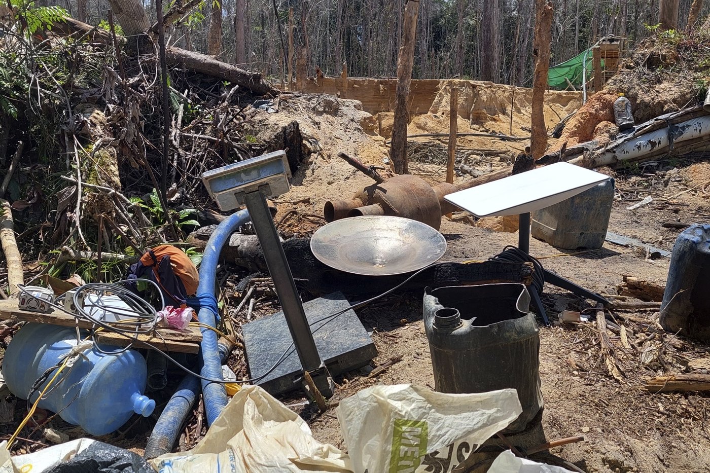 Brazil strikes deal with Musk's Starlink to curb criminal use in the Amazon rainforest | iNFOnews.ca