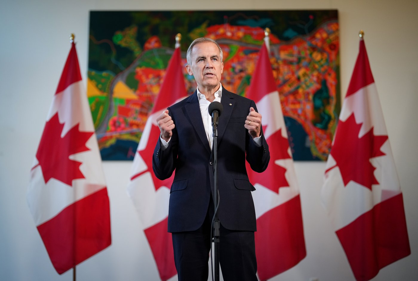 Poll suggests Canadians worry about U.S. relationship as Liberals choose a new leader | iNFOnews.ca