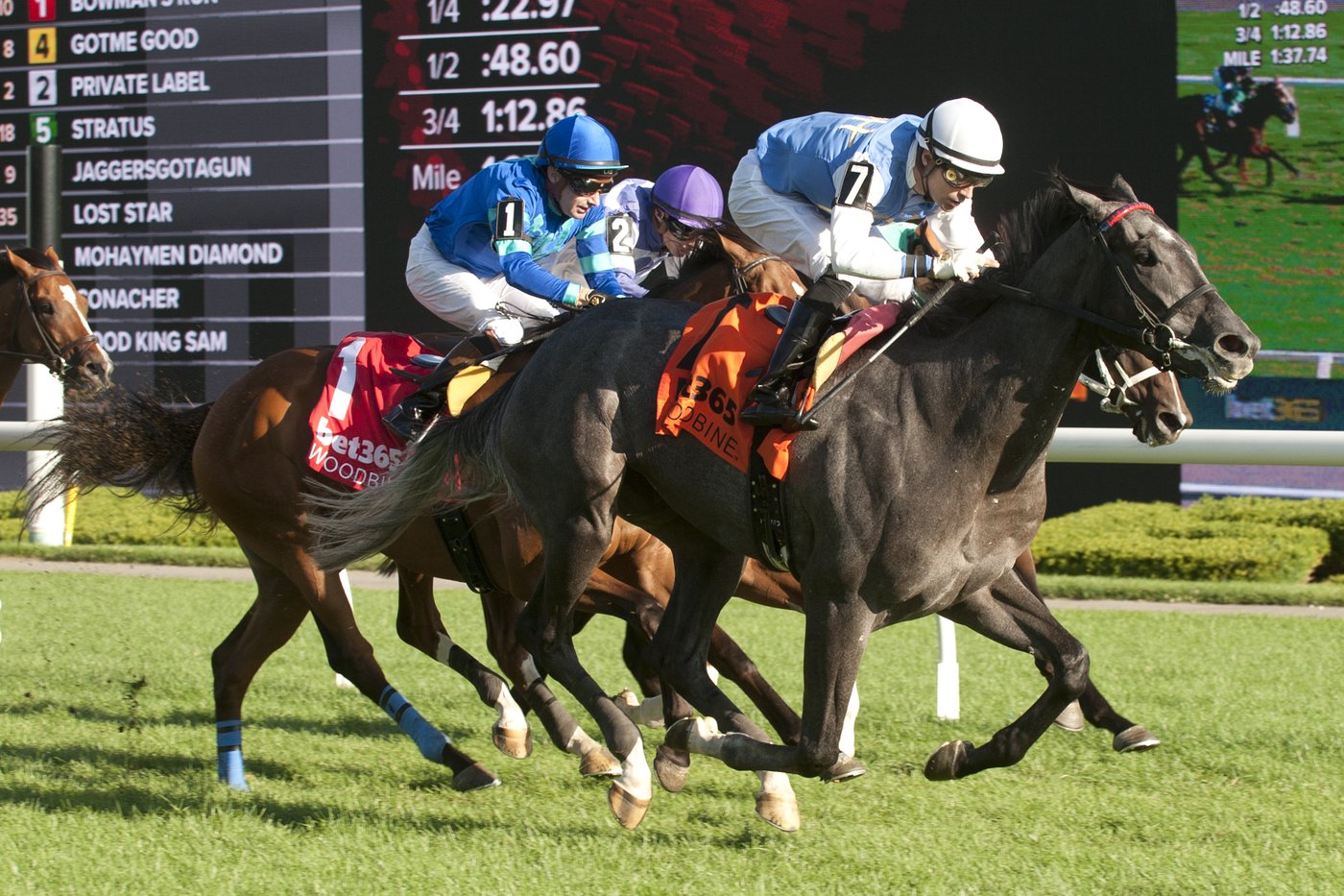 Hall of Fame trainer Attfield chases 10th career Breeders’ Stakes win with Ciunas | iNFOnews.ca Hall of Fame trainer Attfield chases 10th career Breeders’ Stakes win with Ciunas | iNFOnews.ca