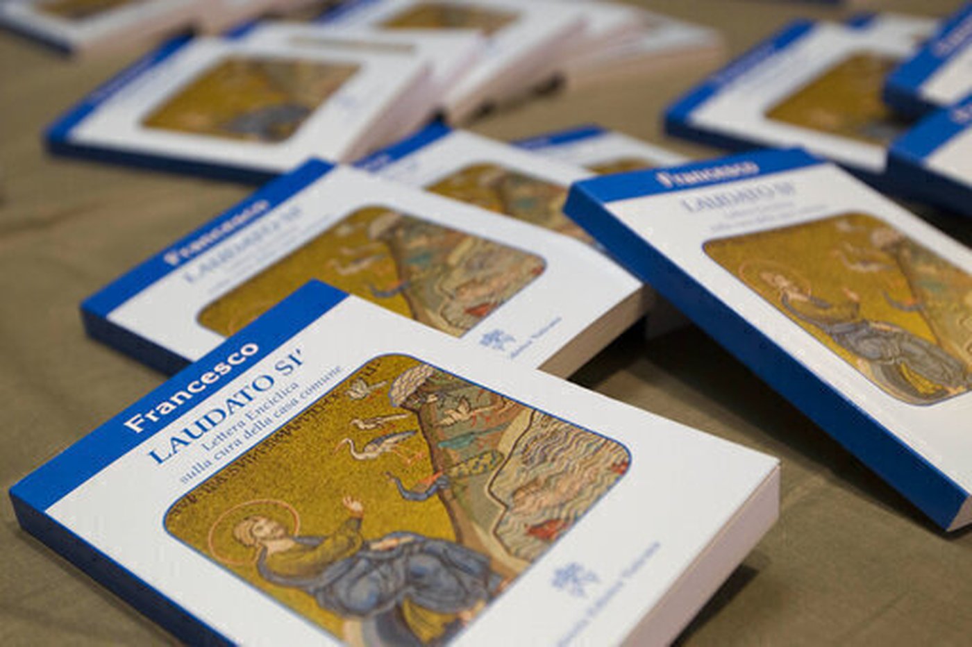 'Leo will follow Francis.' Amazon Catholics hope the new pope will protect the rain forest | iNFOnews.ca 'Leo will follow Francis.' Amazon Catholics hope the new pope will protect the rain forest | iNFOnews.ca
