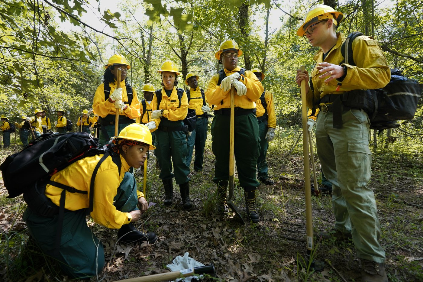 Forest and park service worker cuts leave wildland firefighting crews short-staffed | iNFOnews.ca