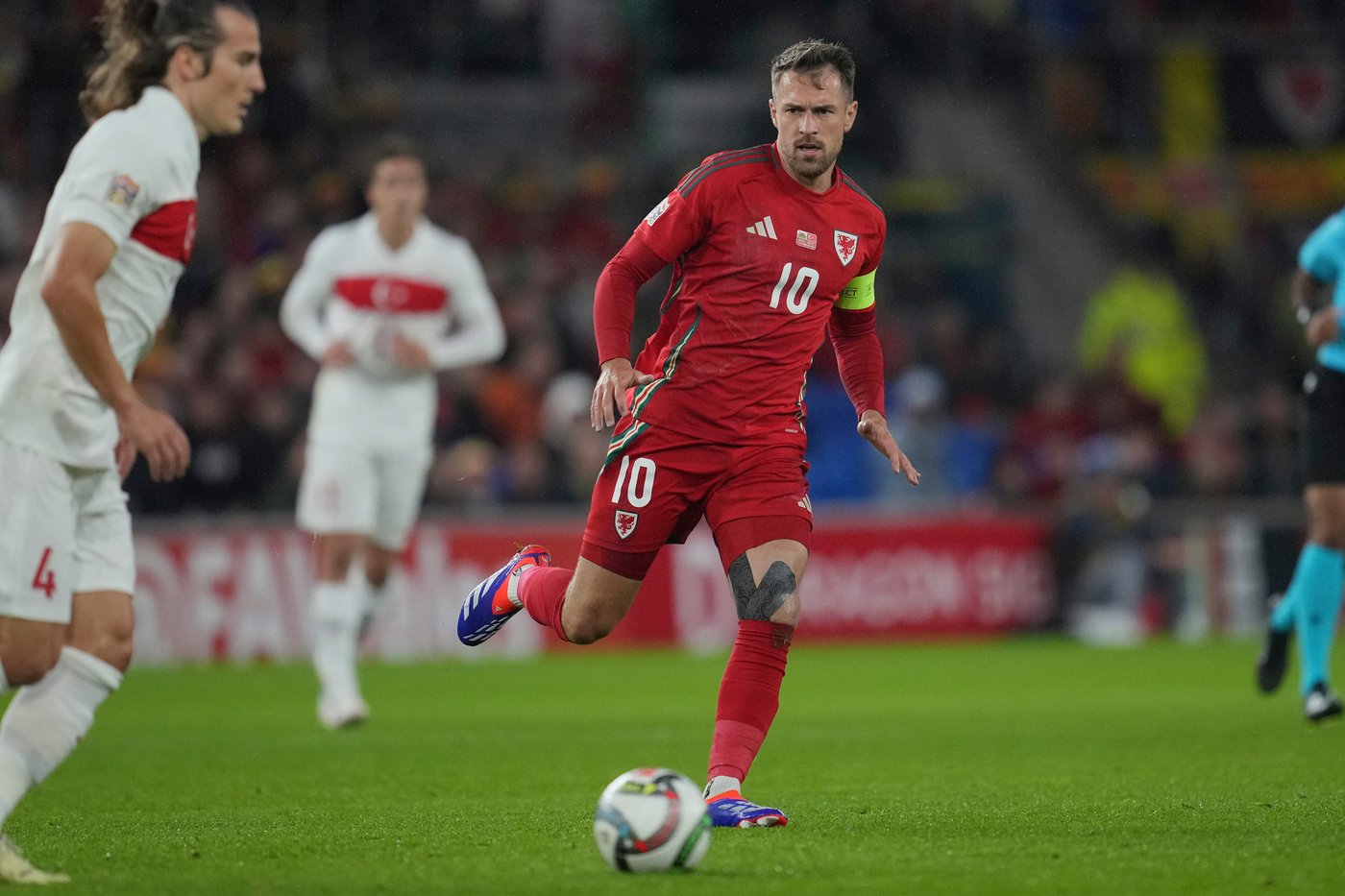 Soccer star continues heartbreaking search for lost beagle Halo in Mexico | iNFOnews.ca