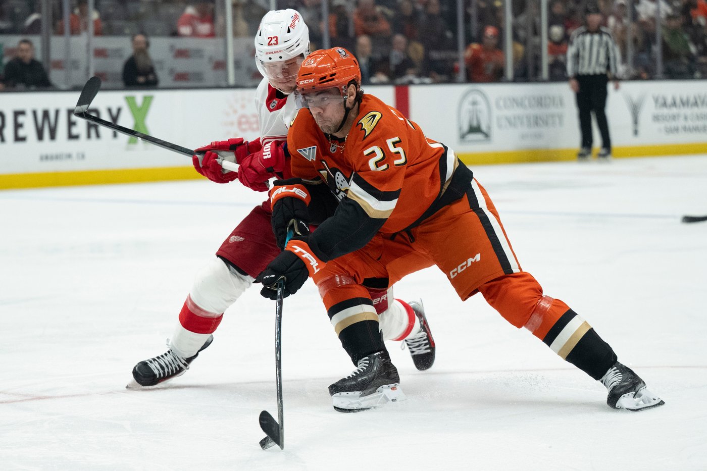 Troy Terry scores twice as Ducks beat Red Wings 5-2 | iNFOnews.ca Troy Terry scores twice as Ducks beat Red Wings 5-2 | iNFOnews.ca