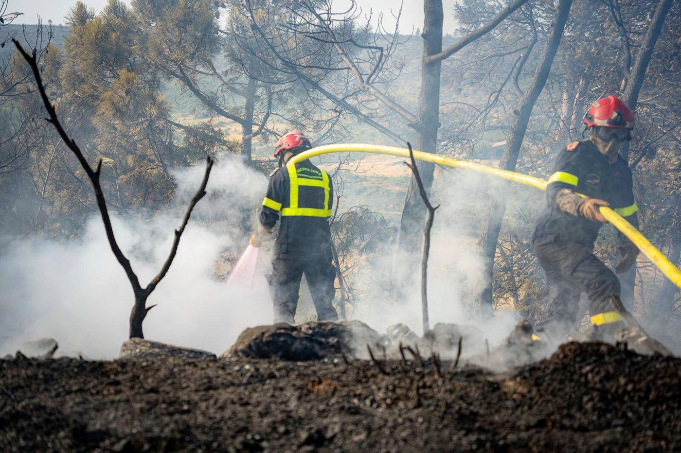 High heat threatens to reignite blaze in Aude region after France’s largest wildfire in decades | iNFOnews.ca