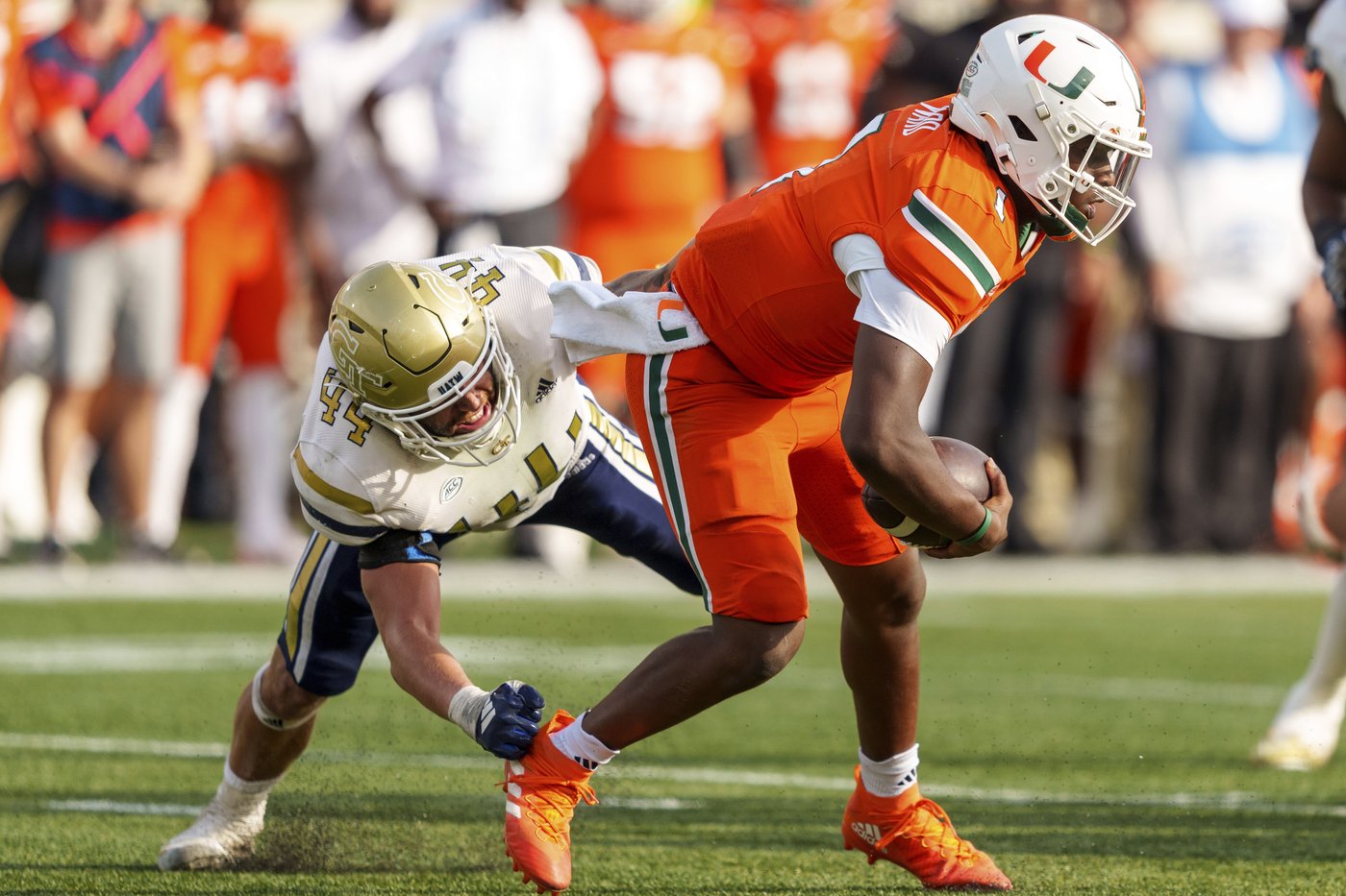 Haynes King leads Georgia Tech past Cam Ward, No. 4 Miami 28-23 for Hurricanes' 1st loss | iNFOnews.ca Haynes King leads Georgia Tech past Cam Ward, No. 4 Miami 28-23 for Hurricanes' 1st loss | iNFOnews.ca