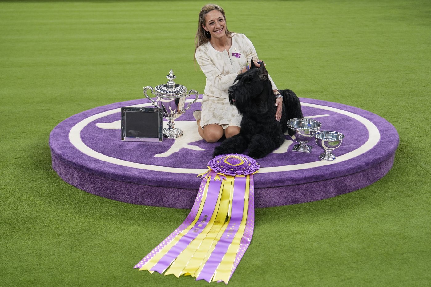 Monty the giant schnauzer wins Westminster dog show | iNFOnews.ca