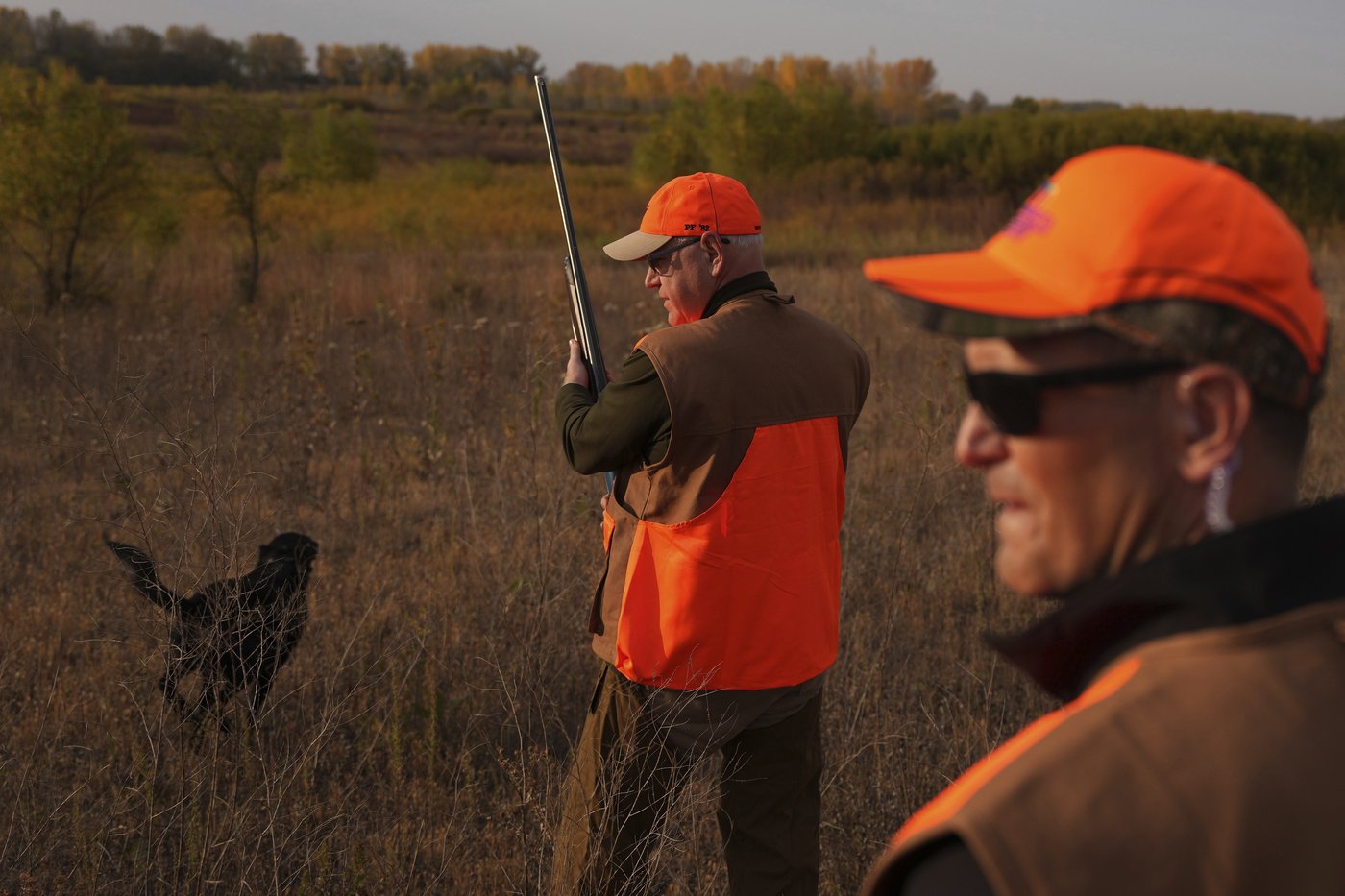 Walz tramps through tall grass but bags no birds as pheasant hunting season opens | iNFOnews.ca Walz tramps through tall grass but bags no birds as pheasant hunting season opens | iNFOnews.ca