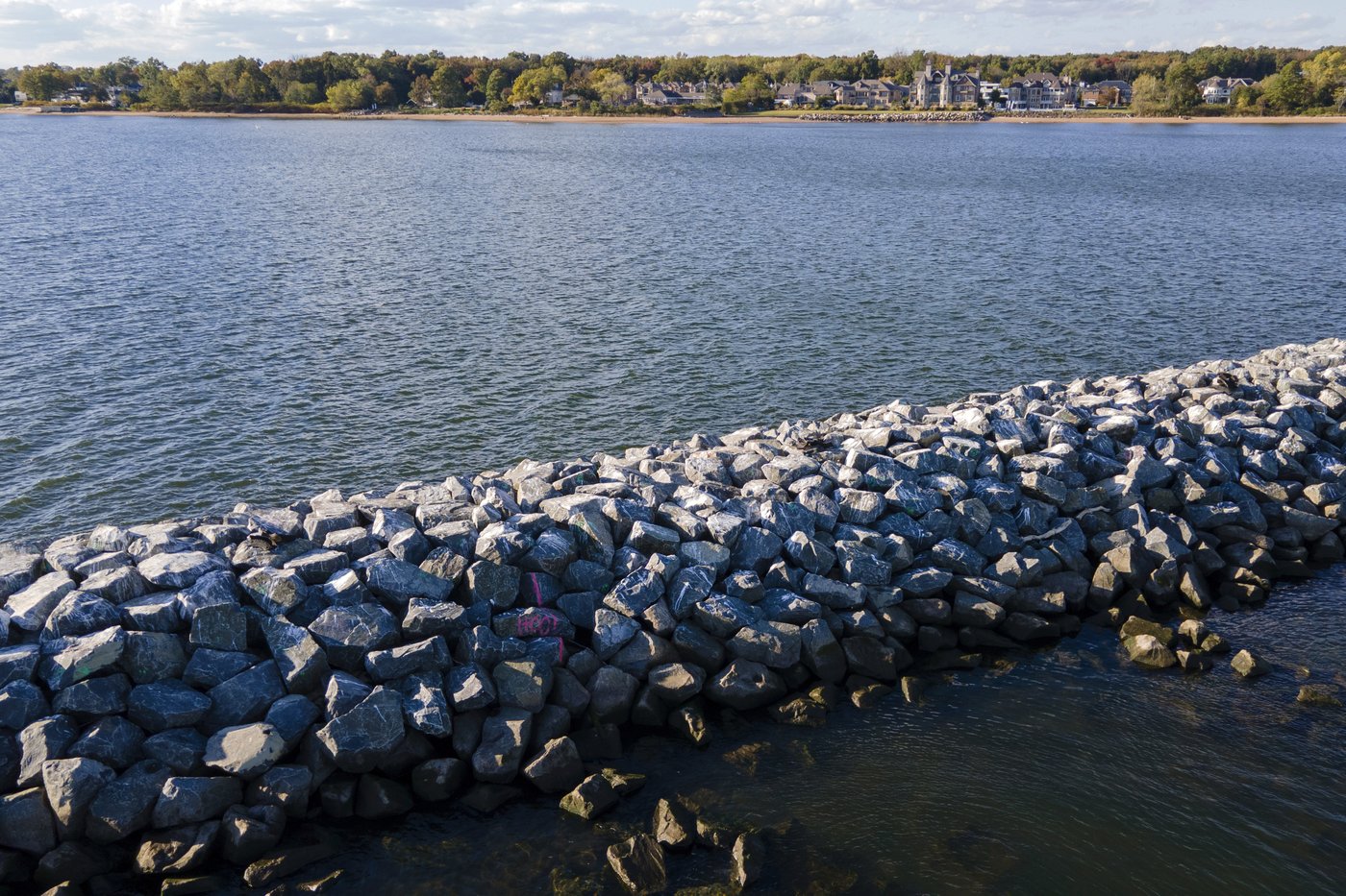 These artificial reefs off a New York City beach help sea creatures. They might also save lives | iNFOnews.ca