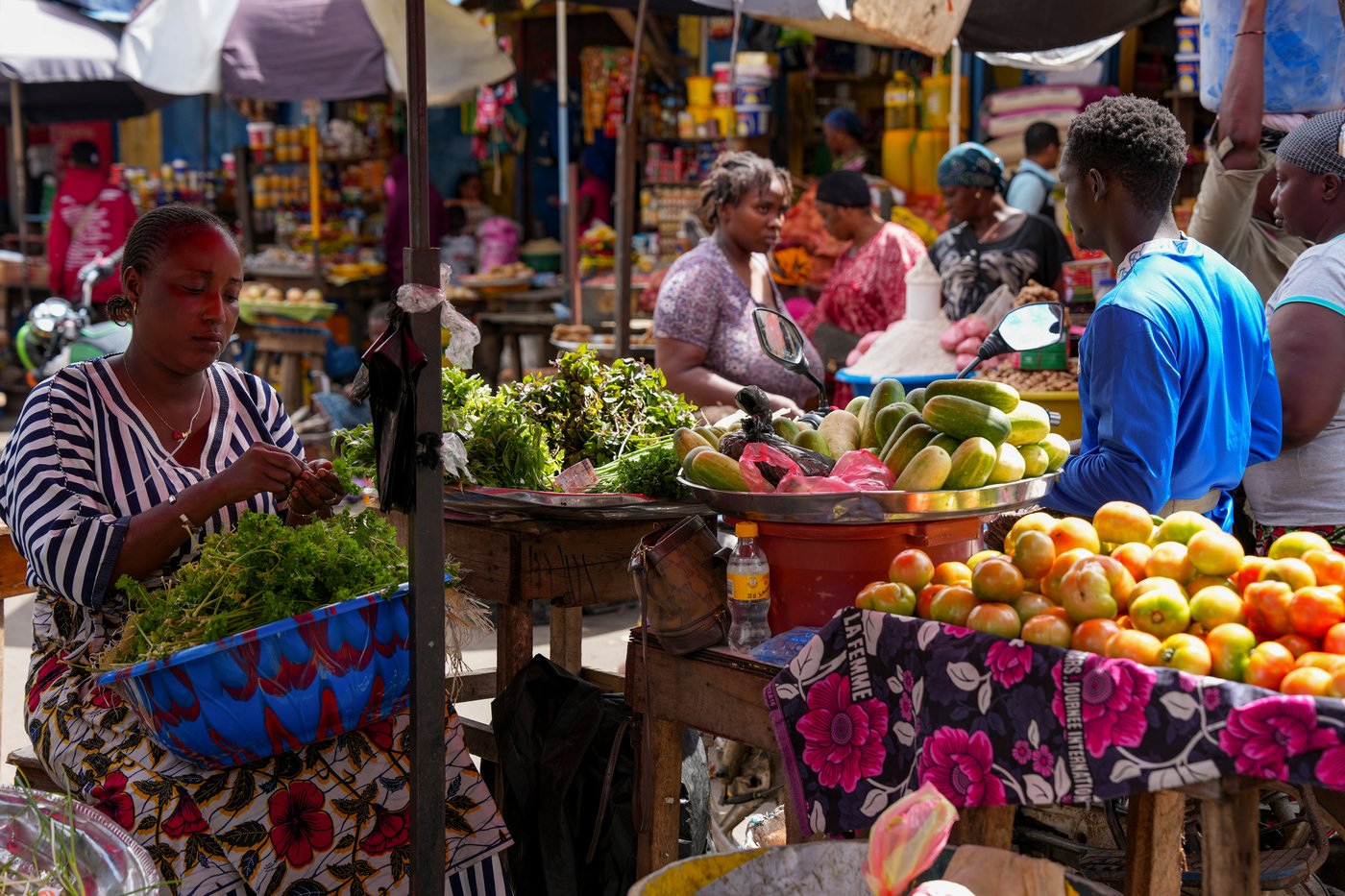 A recipe for avoiding 15 million deaths a year and climate disaster is fixing food, scientists say | iNFOnews.ca A recipe for avoiding 15 million deaths a year and climate disaster is fixing food, scientists say | iNFOnews.ca