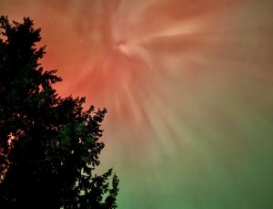 A sky shows orange and green northern lights with a tree silhouette in the foreground.