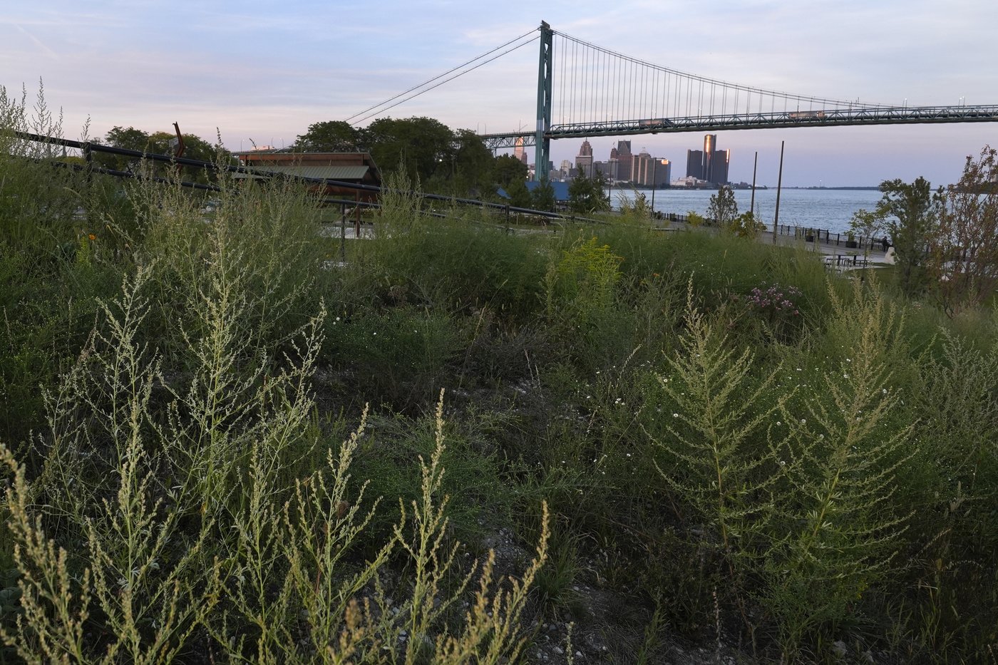 Urban communities that lack shade sizzle when it's hot. Trees are a climate change solution | iNFOnews.ca