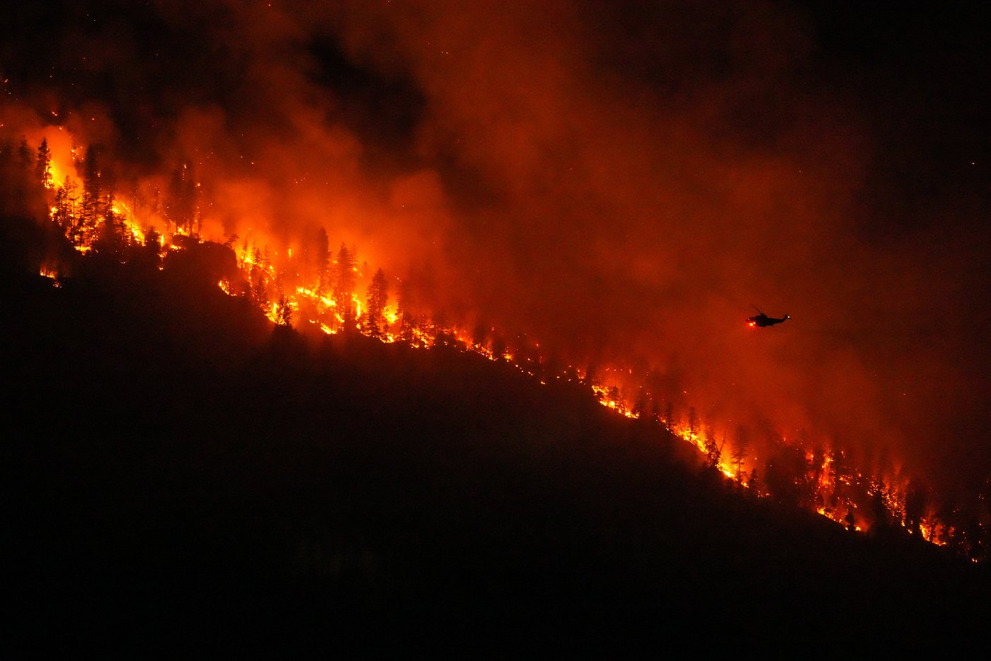 Fallen trees, bears are risks for B.C. wildfire evacuees returning home: officials | iNwheels