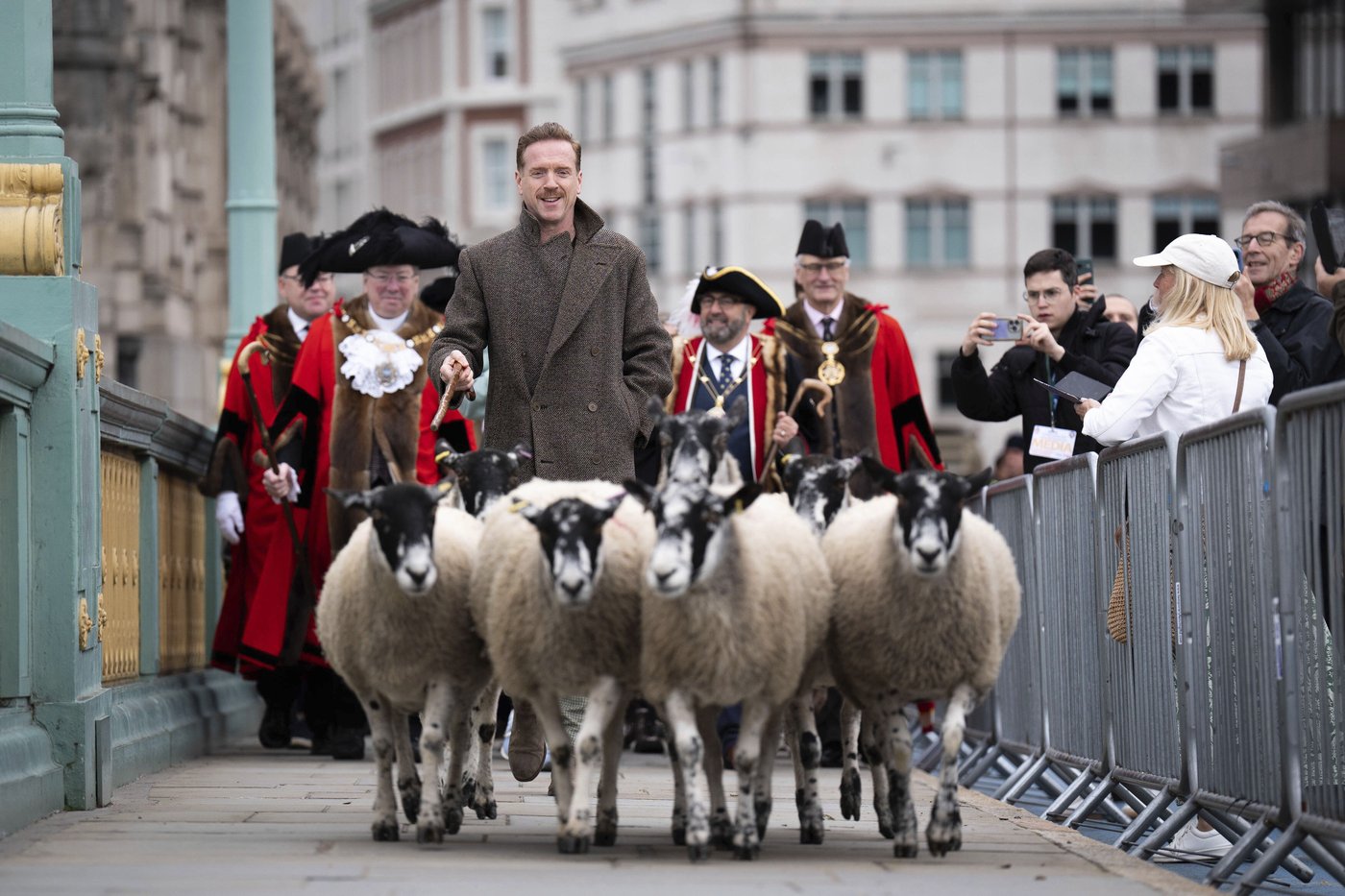 Damian Lewis herds sheep over a London bridge in homage to a medieval tradition | iNFOnews.ca Damian Lewis herds sheep over a London bridge in homage to a medieval tradition | iNFOnews.ca