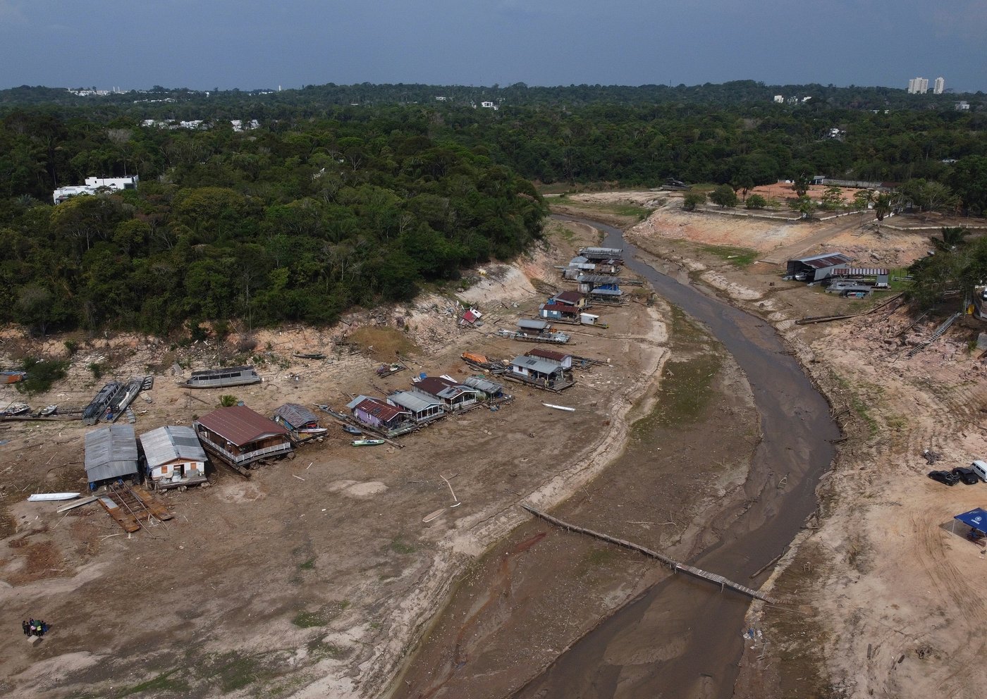 Brazil’s Amazon deforestation falls 11% even as fires surge to record levels | iNFOnews.ca