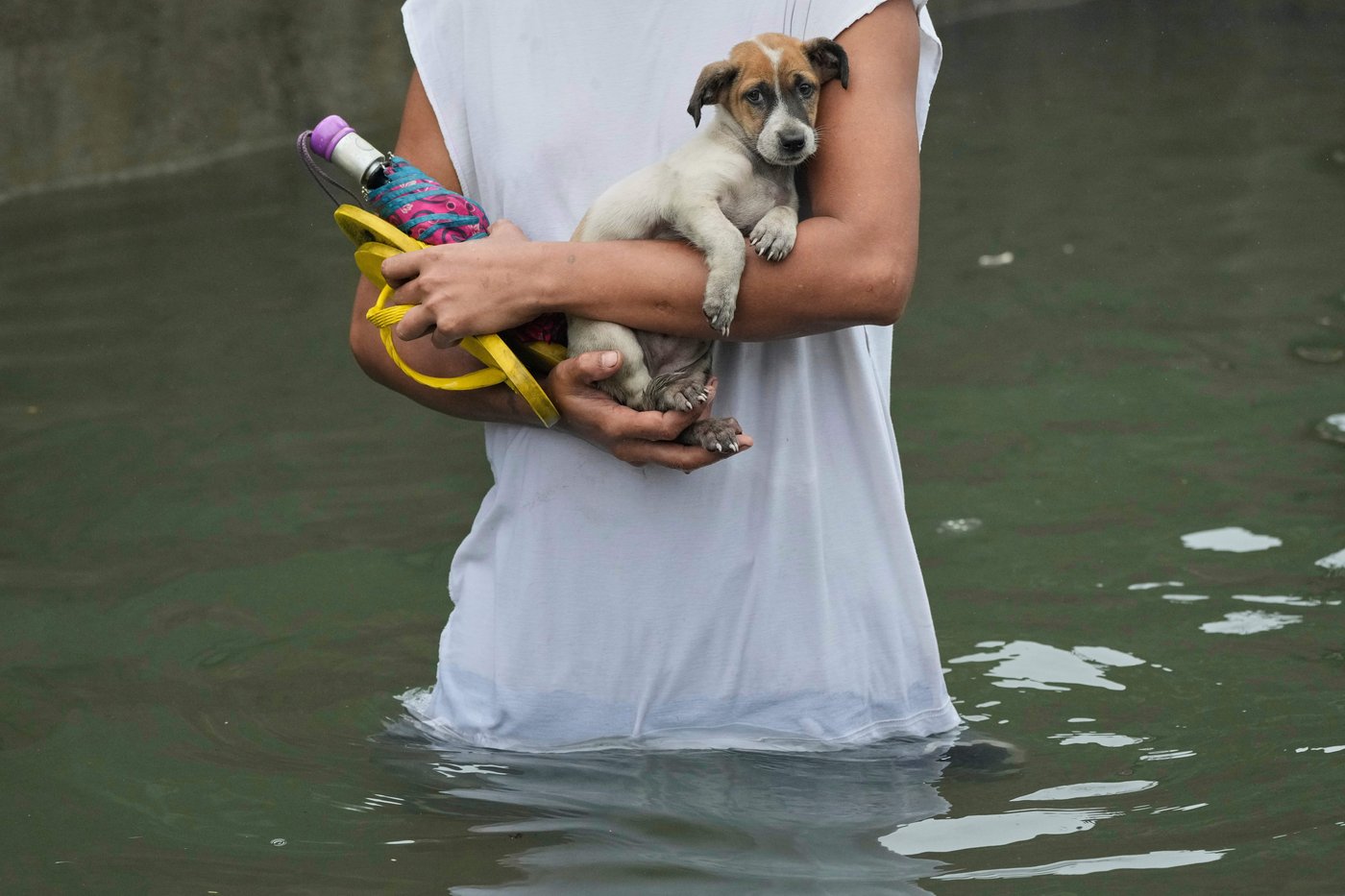 PHOTO COLLECTION: AP Top Photos of the Day, Friday, July 25, 2025 | iNFOnews.ca