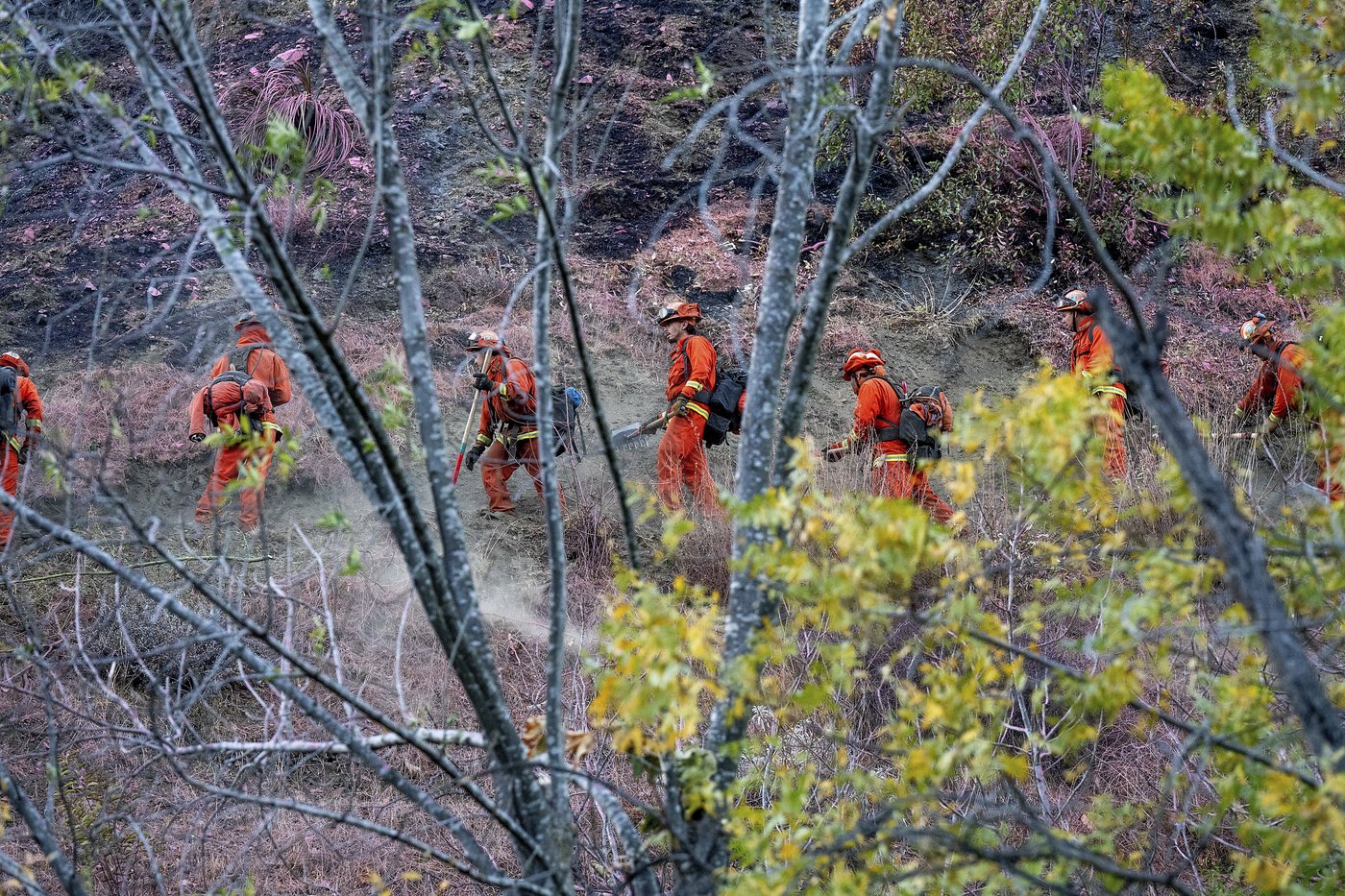 PHOTO COLLECTION: California Wildfires Palisades Fire | iNFOnews.ca