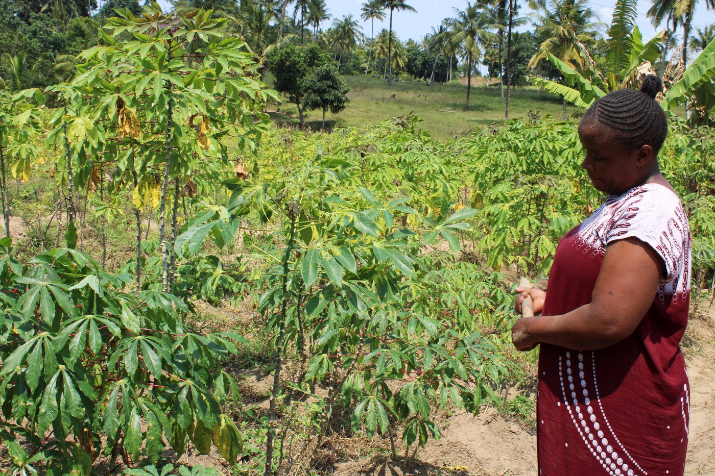 In Kenya, a search for links between a changing climate and mental health | iNFOnews.ca