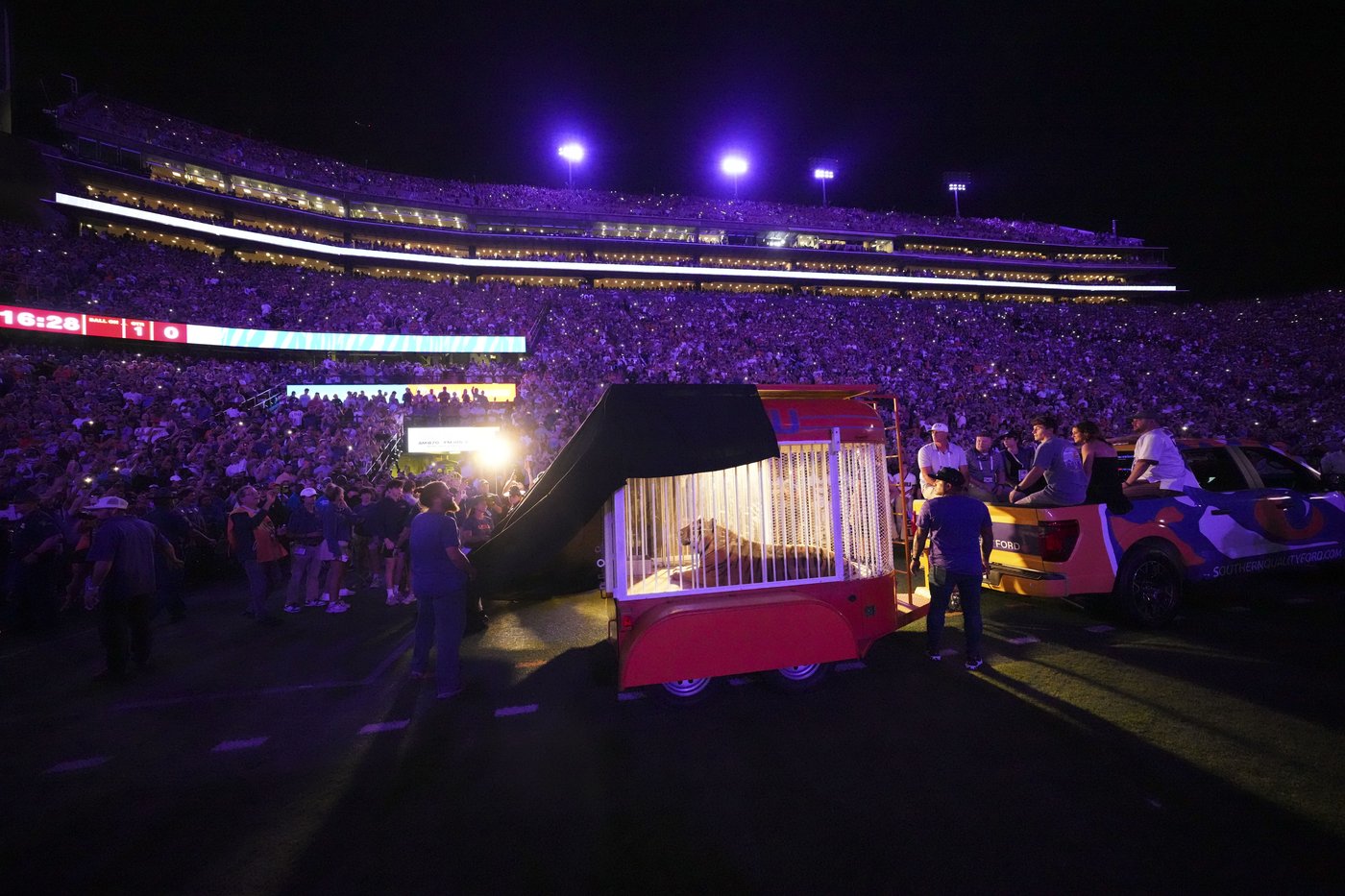Caged tiger wheeled into LSU's Tiger Stadium for the first time since 2015 at governor's behest | iNFOnews.ca Caged tiger wheeled into LSU's Tiger Stadium for the first time since 2015 at governor's behest | iNFOnews.ca
