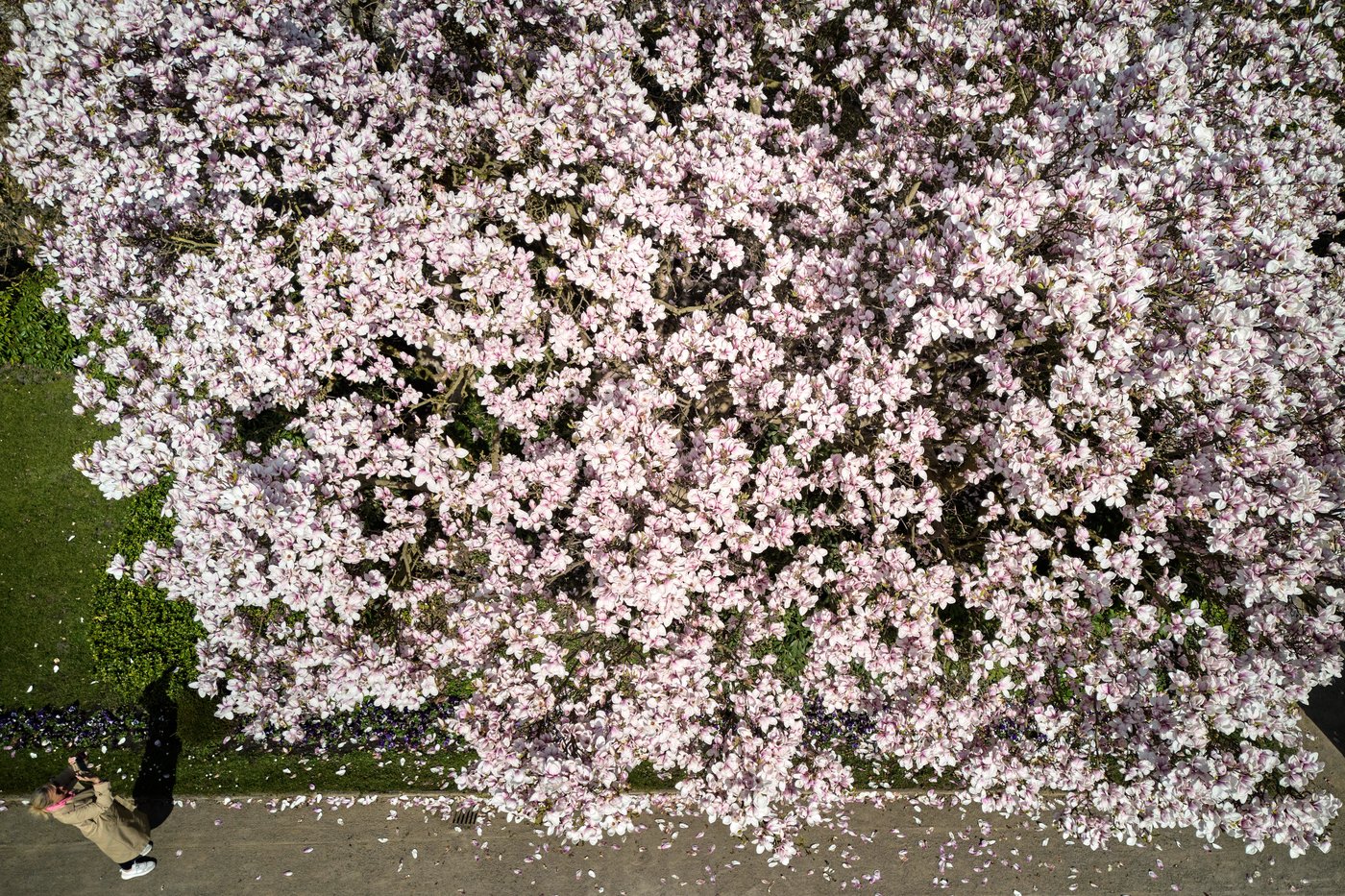 PHOTO COLLECTION: Spring | iNFOnews.ca