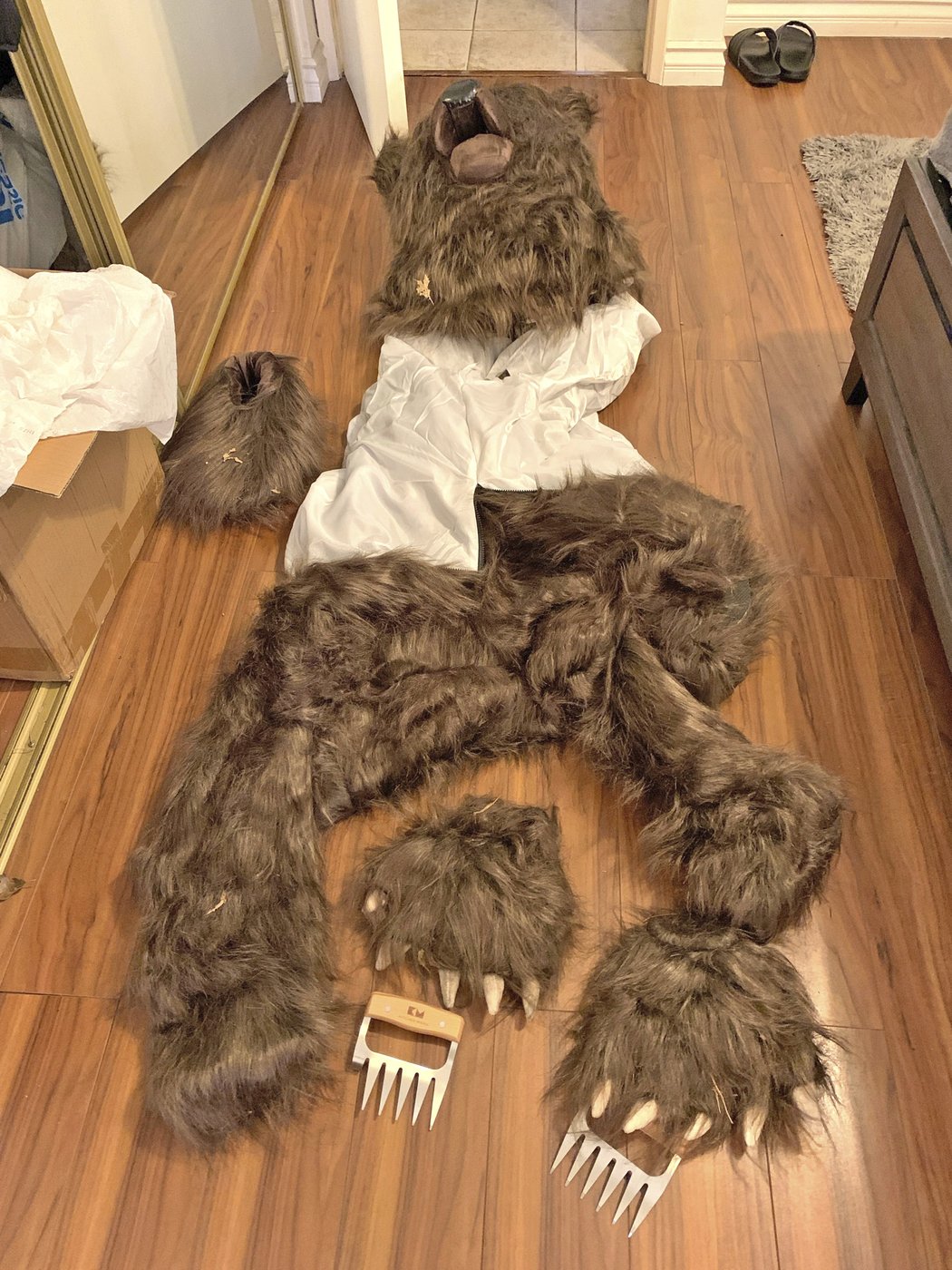 Insurers say bear that damaged luxury cars was actually a person in a costume | iNFOnews.ca