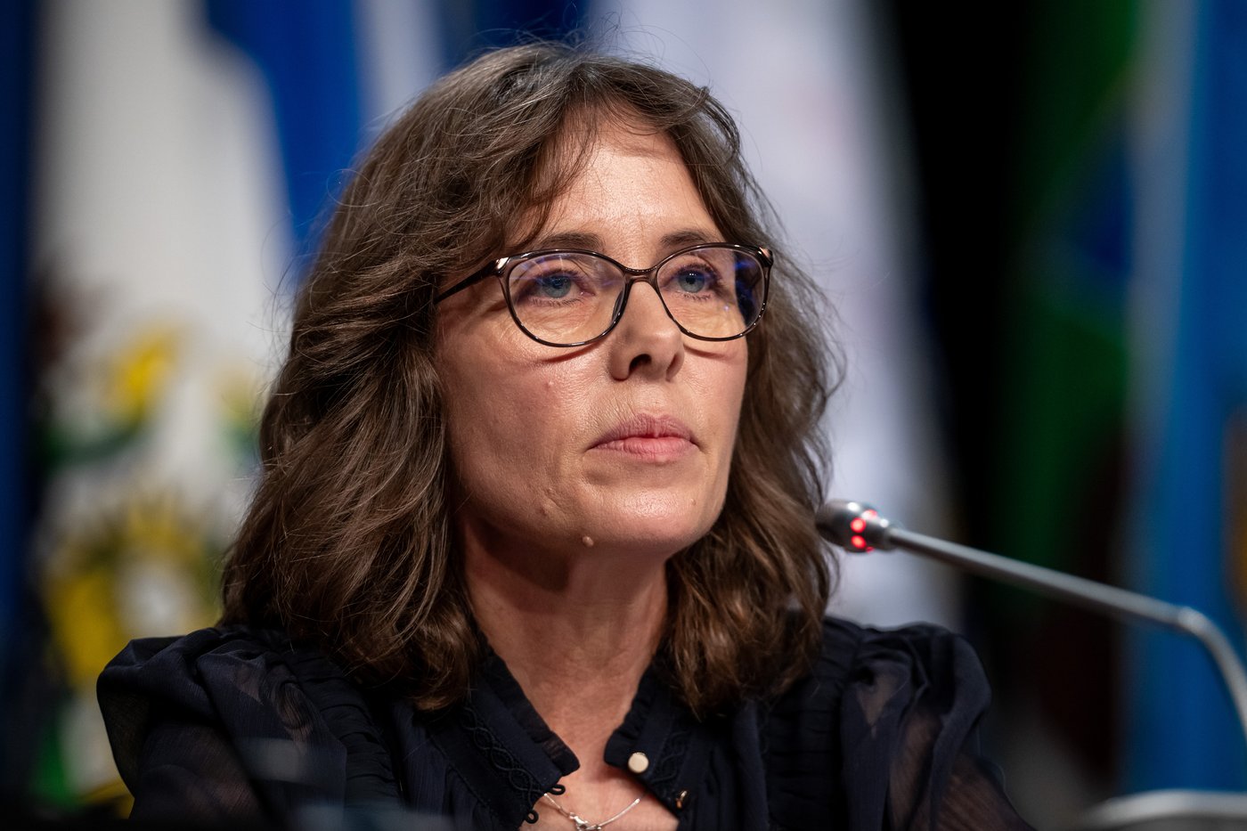 CP NewsAlert: B.C. Green Leader Sonia Furstenau loses seat after changing ridings | iNFOnews.ca