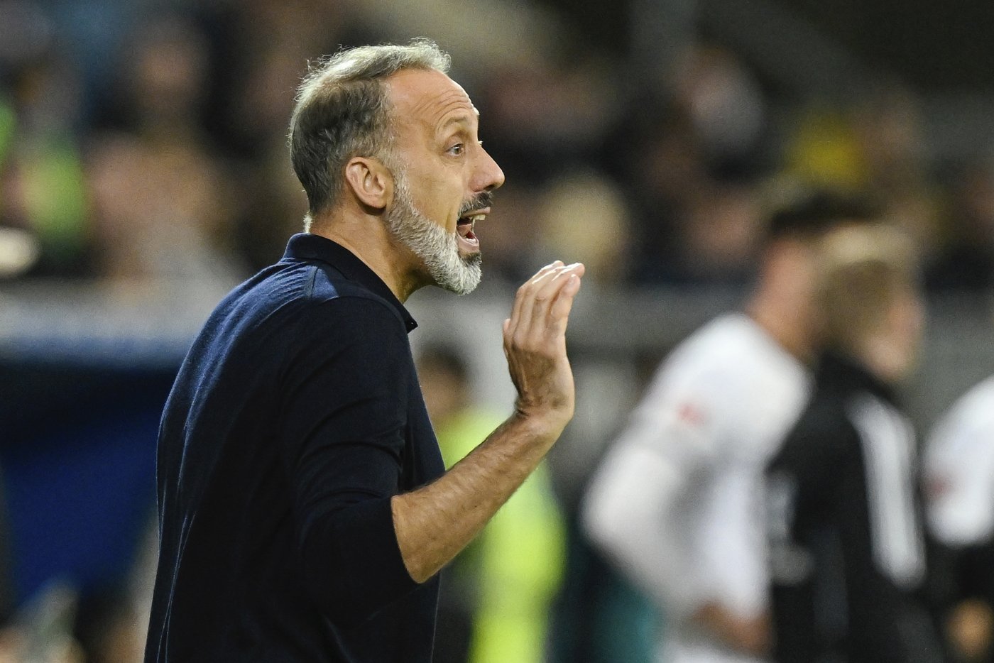 Hoffenheim fires American coach Pellegrino Matarazzo after poor start to season | iNFOnews.ca Hoffenheim fires American coach Pellegrino Matarazzo after poor start to season | iNFOnews.ca