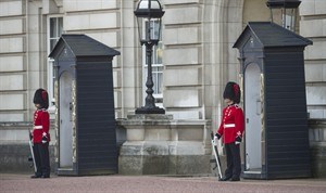CP29134517