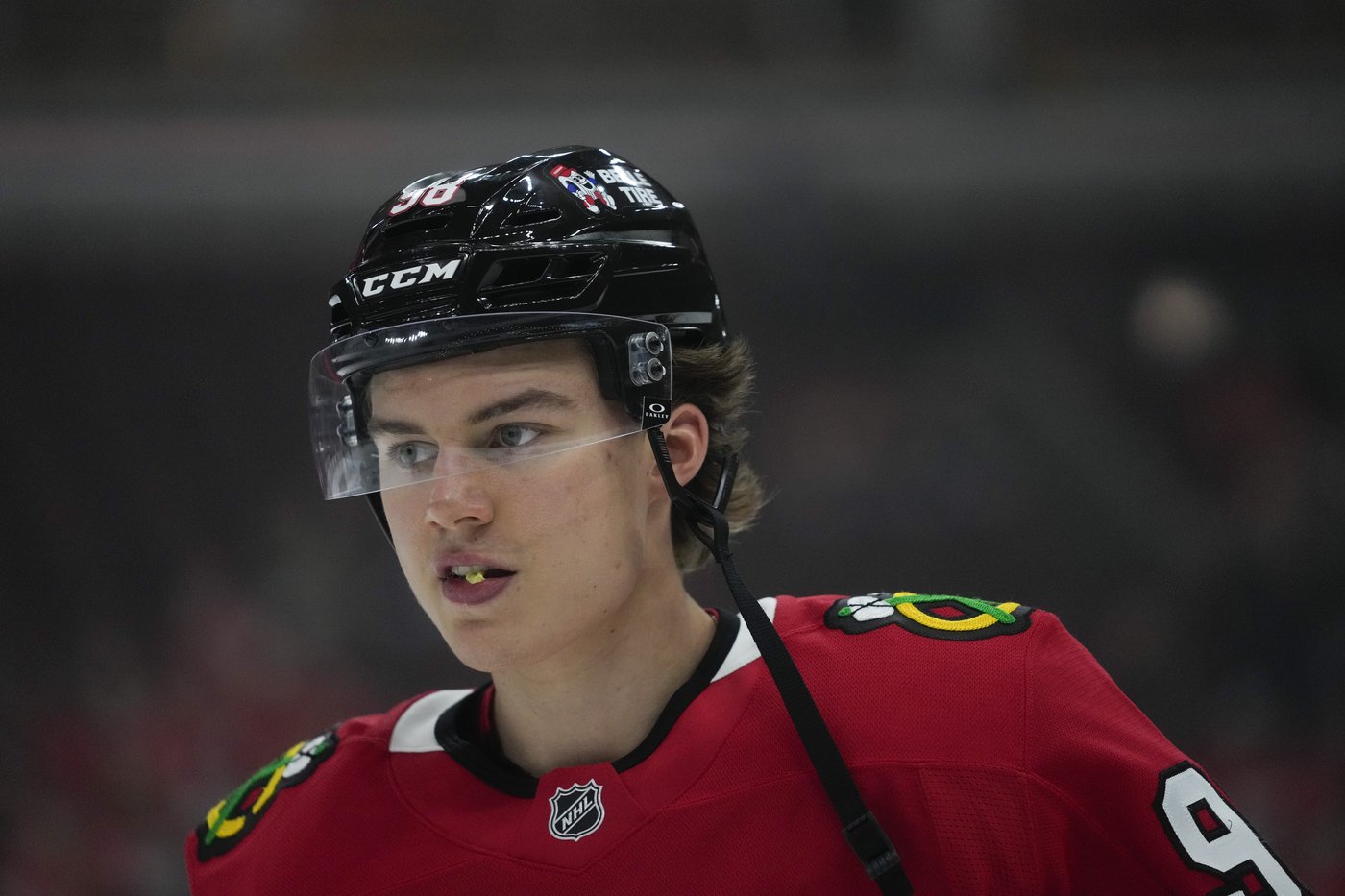 'Powerhouse' Central Division has 7 playoff contenders, from Dallas to Nashville | iNFOnews.ca