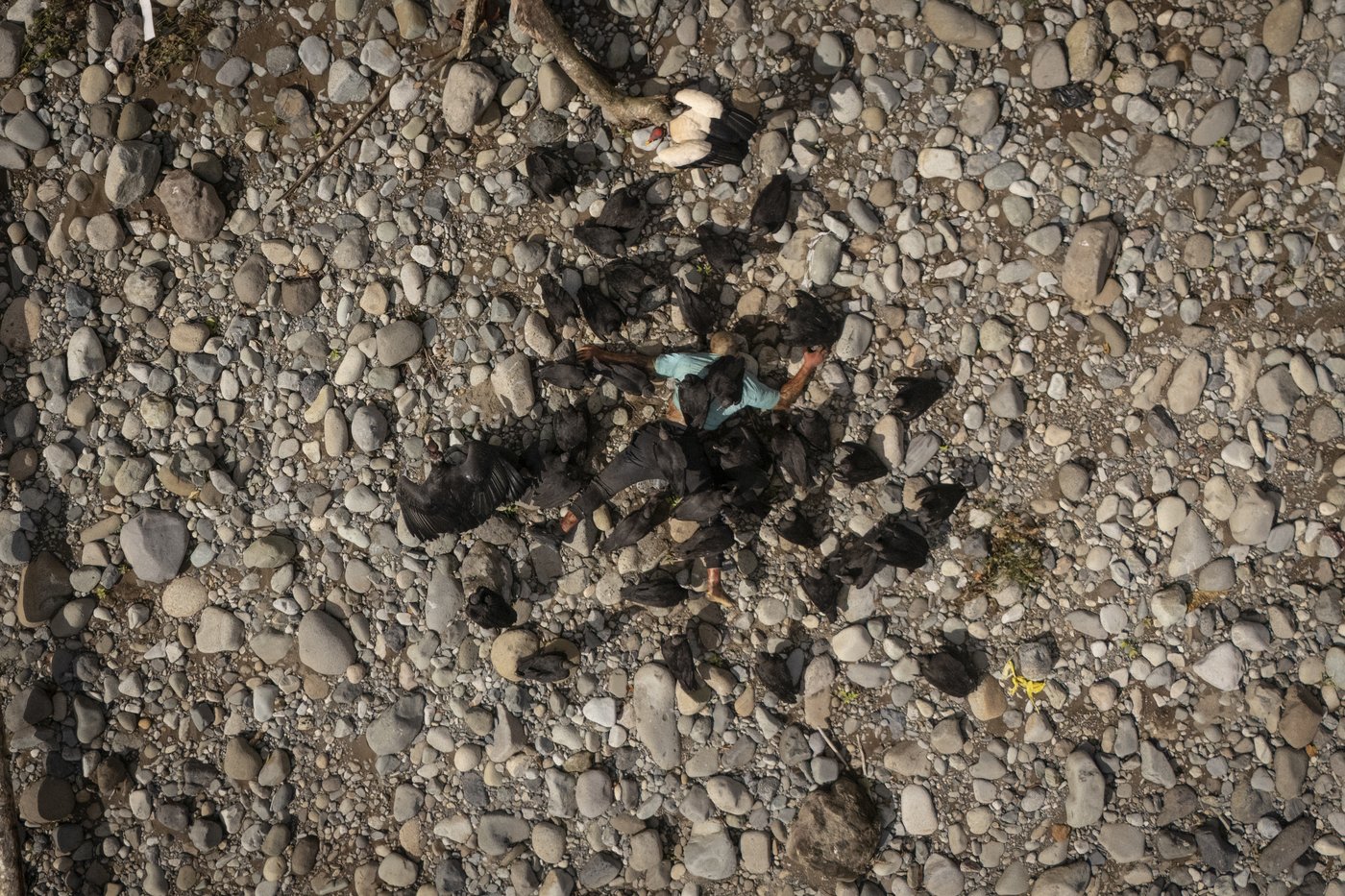 PHOTOS OF THE YEAR: Through photographers' lenses, an epic catalog of humanity in 2024 emerges | iNFOnews.ca