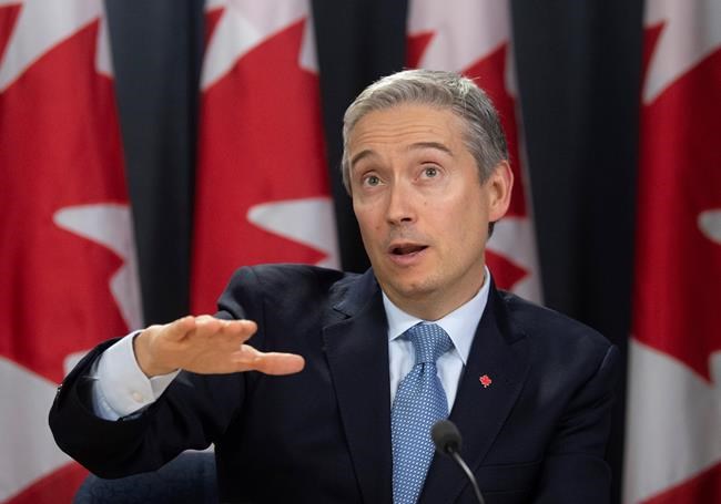 Canadians in Wuhan to be flown out Thursday: government letter | iNFOnews.ca Canadians in Wuhan to be flown out Thursday: government letter | iNFOnews.ca