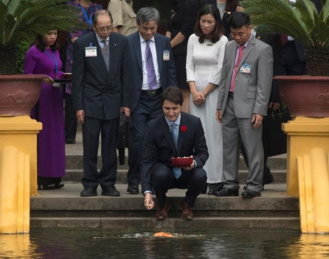 Canadian government won't be rushed into signing TPP, Trudeau insists | iNFOnews.ca