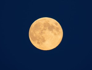 A perfectly round full moon with an orange tint is surrounded by a dark blue sky.
