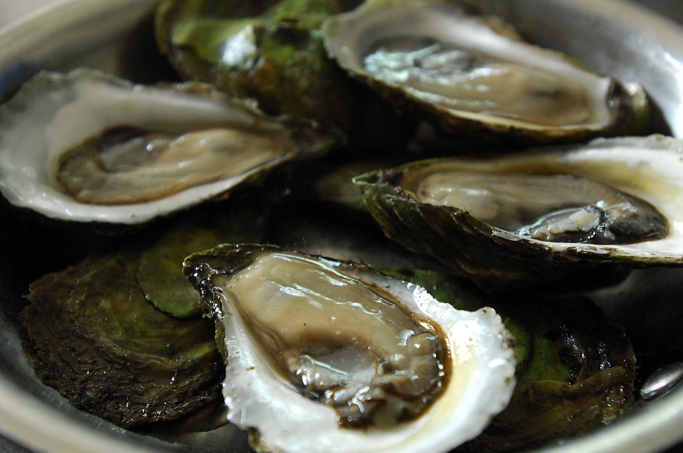 Dozens get sick with 'norovirus-like' illness after eating raw B.C. oysters | iNFOnews.ca