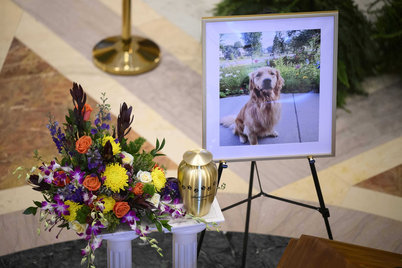 A slain Minnesota lawmaker's beloved dog, Gilbert, stays with her as she and her spouse lie in state | iNFOnews.ca