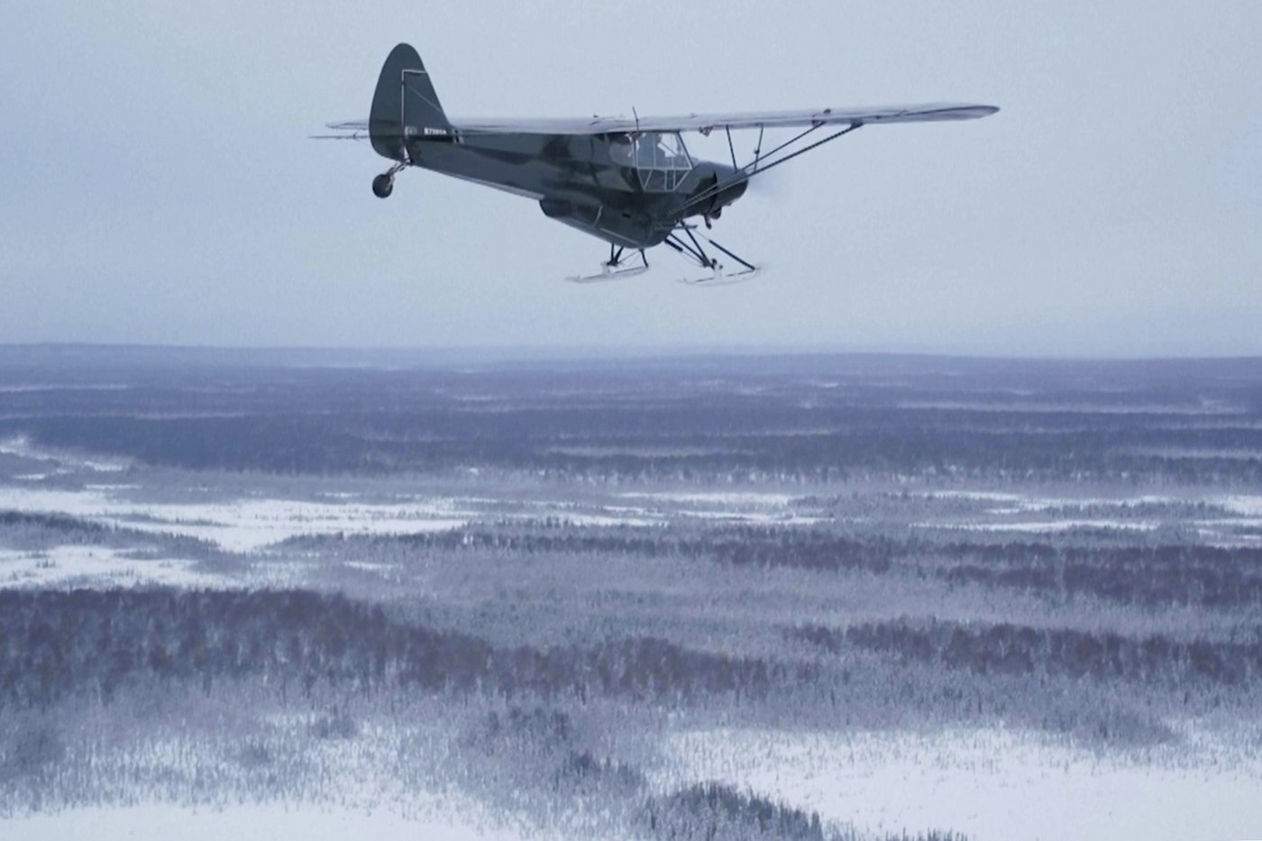 'It's a bird! It's a plane!' In Alaska, it's both, with a pilot dropping turkeys off to rural homes | iNFOnews.ca 'It's a bird! It's a plane!' In Alaska, it's both, with a pilot dropping turkeys off to rural homes | iNFOnews.ca