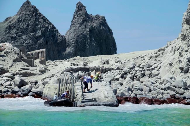 Canadian actor aboard cruise ship saw beginning of New Zealand volcano eruption | iNFOnews.ca