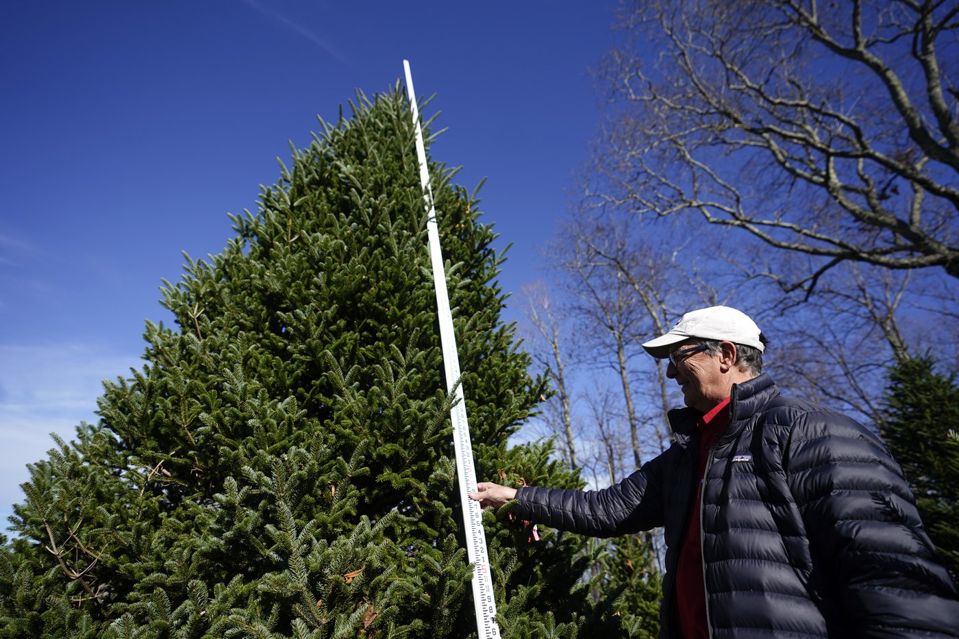 The White House's Christmas tree is a symbol of resilience for hurricane-hit North Carolina farms | iNFOnews.ca The White House's Christmas tree is a symbol of resilience for hurricane-hit North Carolina farms | iNFOnews.ca