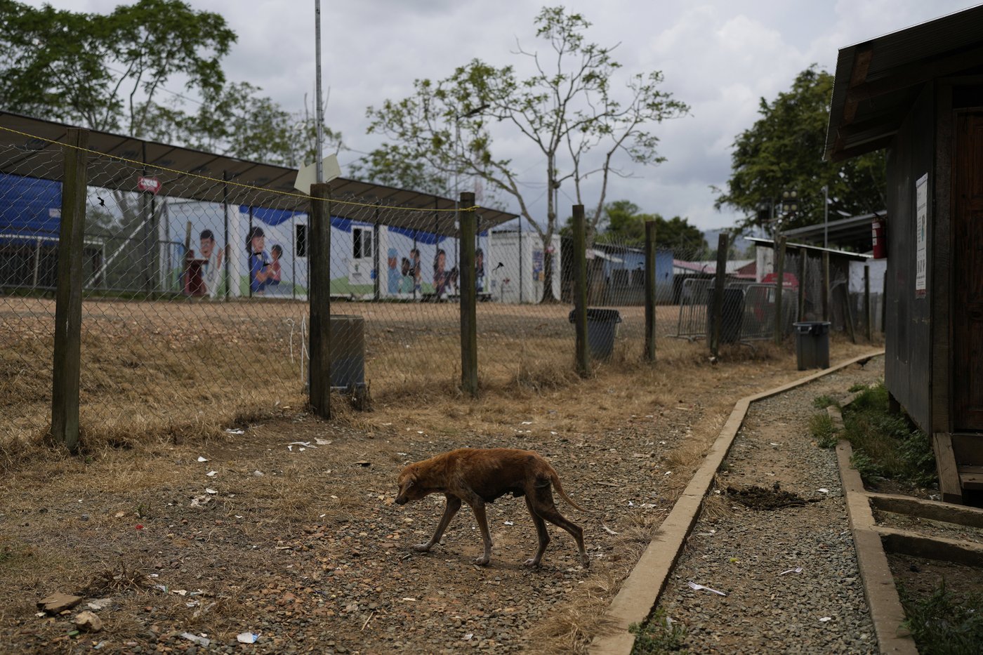 Once a migratory highway, the Darien Gap has been left empty under Trump crackdown | iNFOnews.ca