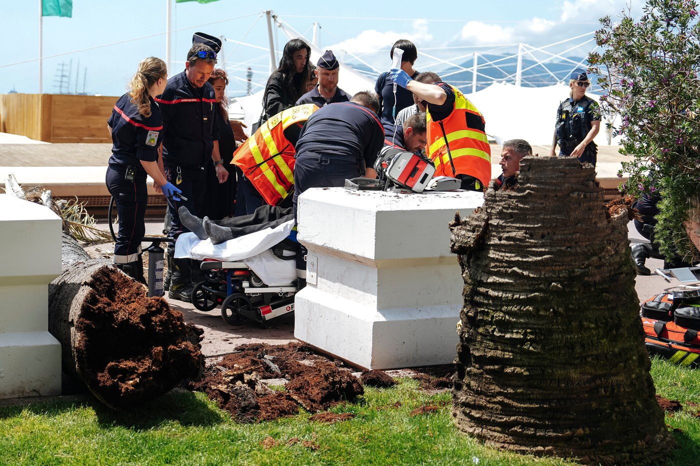 Palm tree falls on a person at Cannes Film Festival | iNFOnews.ca