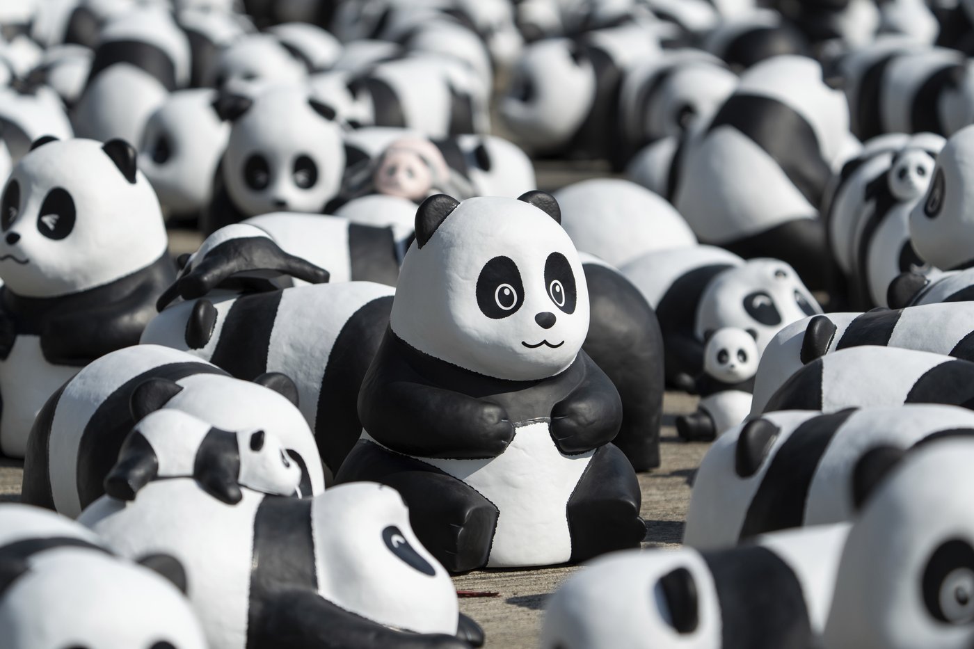 Hong Kong launches panda sculpture tour as the city hopes the bear craze boosts tourism | iNFOnews.ca