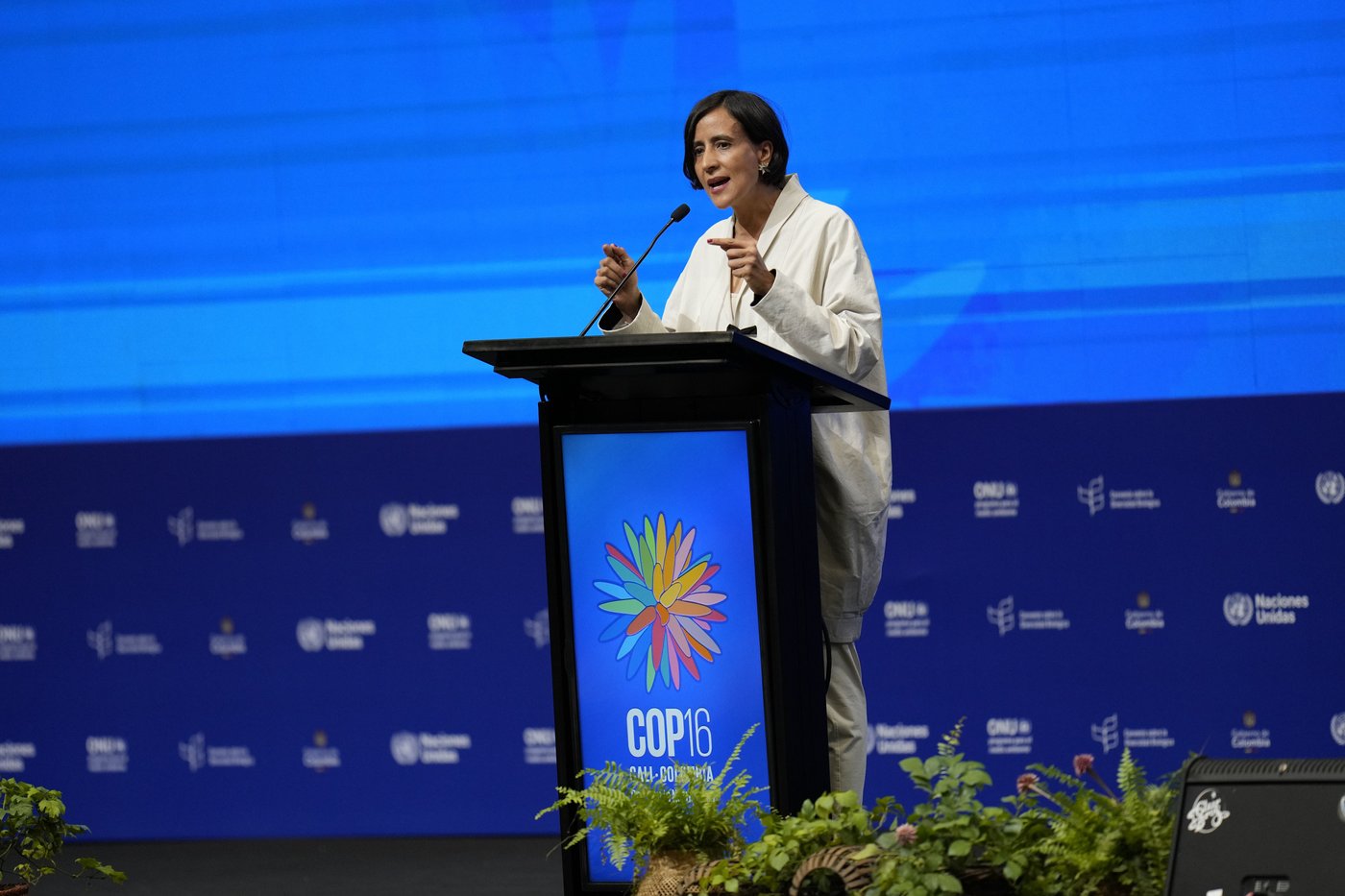 At U.N. summit, historic agreement to give Indigenous groups voice on nature conservation decisions | iNFOnews.ca