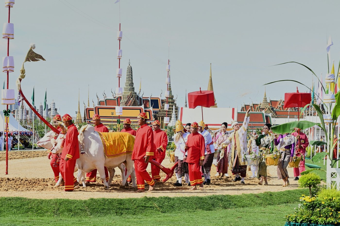 An elaborate centuries-old royal ritual in Thailand's capital predicts a good year for farmers | iNFOnews.ca