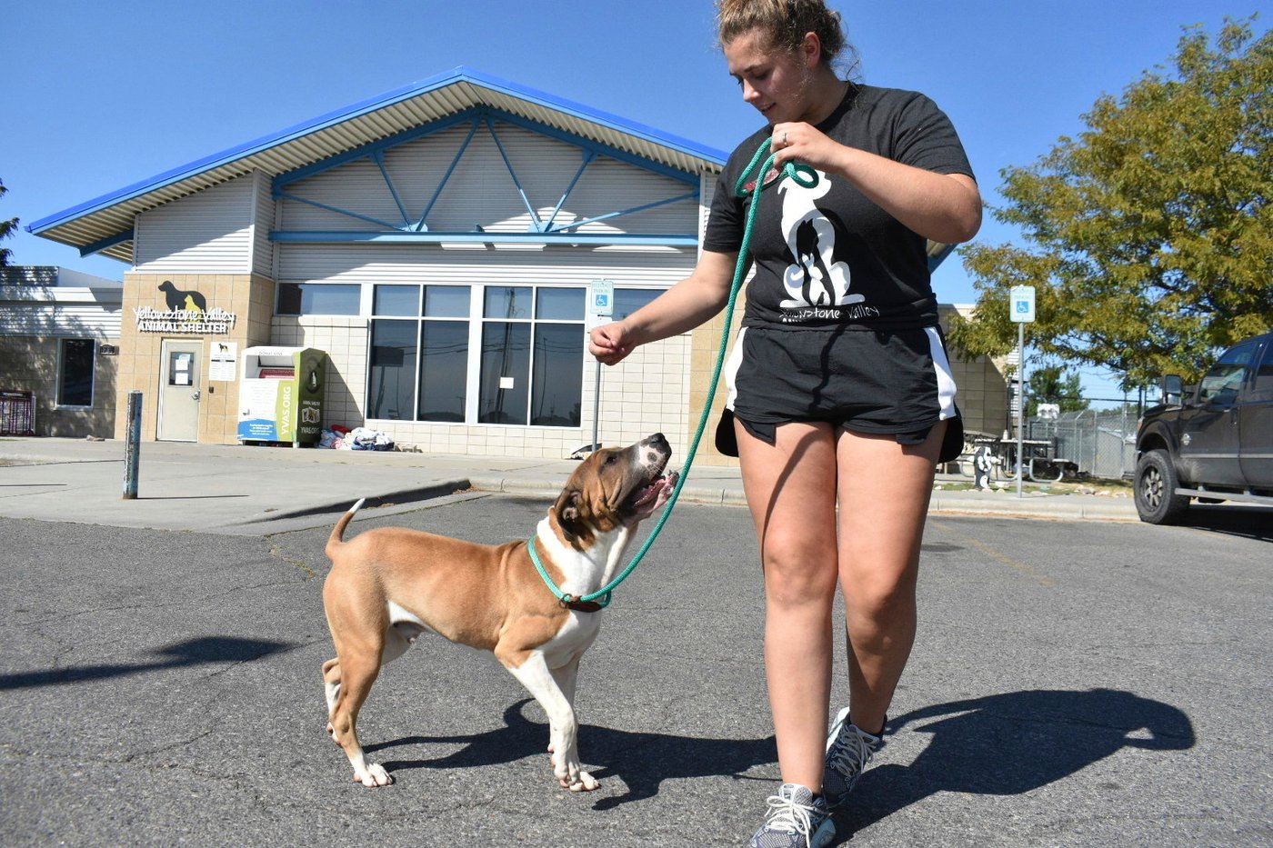 Meth burn by FBI smokes out Montana animal shelter | iNFOnews.ca Meth burn by FBI smokes out Montana animal shelter | iNFOnews.ca