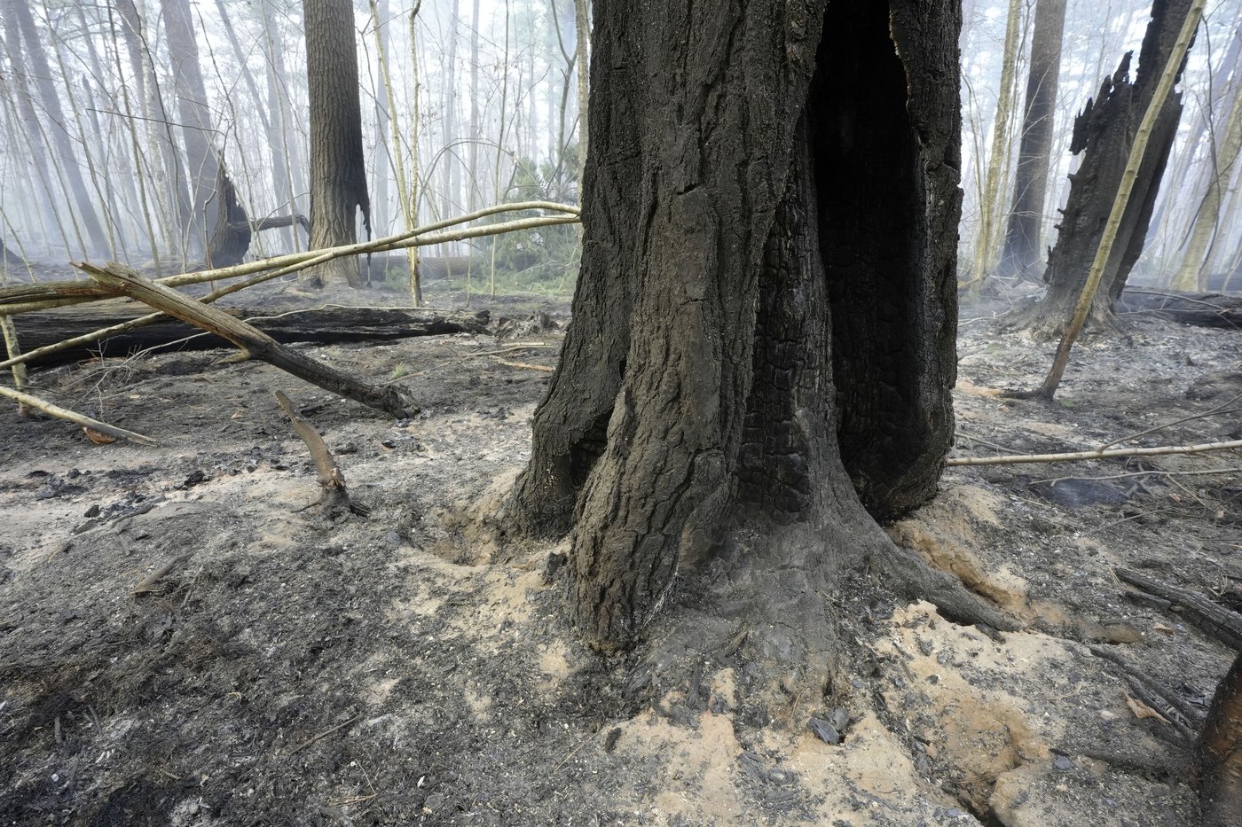 Fire crews on both US coasts battle wildfires | iNFOnews.ca Fire crews on both US coasts battle wildfires | iNFOnews.ca