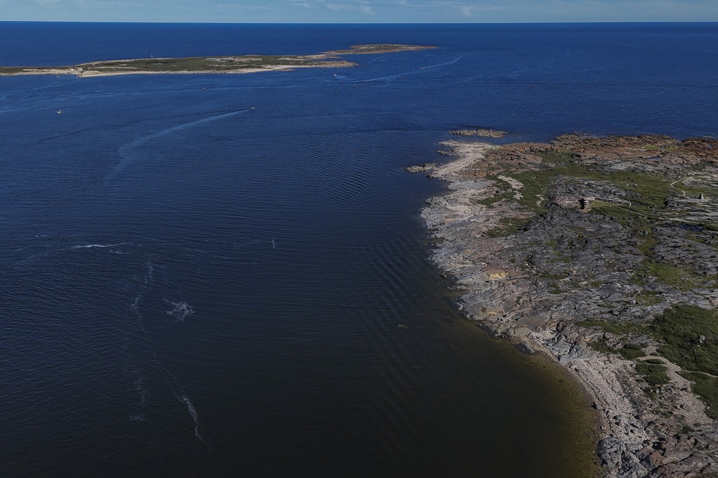 In the gateway to the Arctic, fat, ice and polar bears are crucial. All three are in trouble | iNFOnews.ca