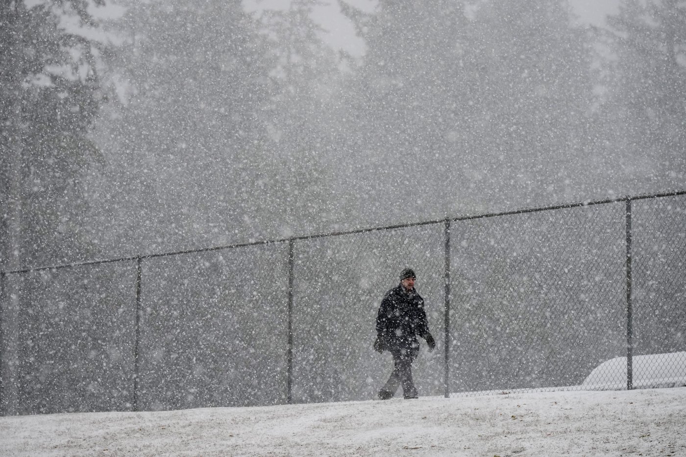 Storm expected to bring up to 50 cm of snow to B.C.'s north coast | iNFOnews.ca